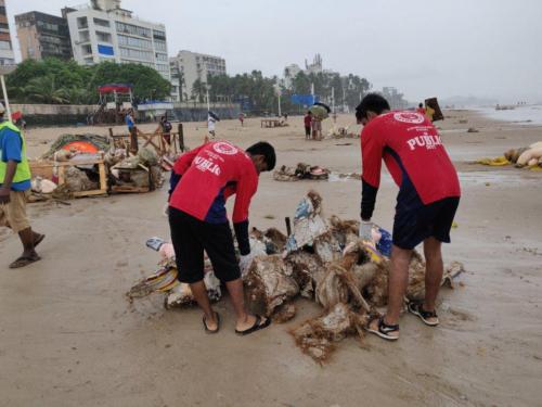 Cleaning Beach