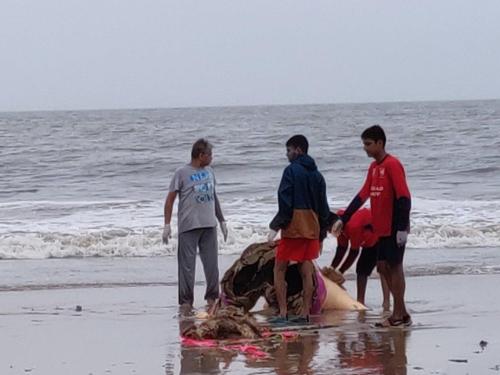 Cleaning Beach